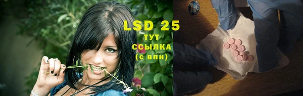 PSILOCYBIN Баксан