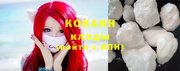 PSILOCYBIN Баксан