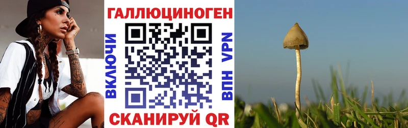 Купить закладки  Горнозаводск  Псилоцибиновые грибы прущие грибы 